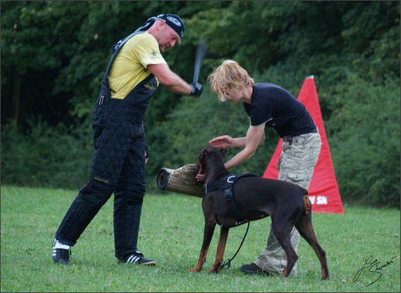 Summer training camp - Jelenec - 2007